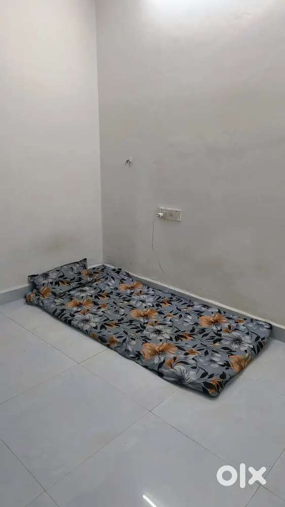 Looking for a Roommate  Shared Room Available