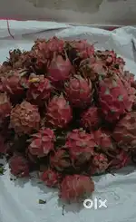 70 var plot near Bhuva fatak