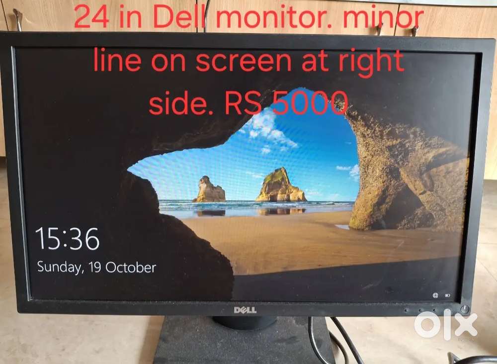 Dell Monitor 24 inch