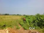 business land on highway 21 katha