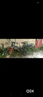 Avon cycle