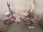 Bicycle usable