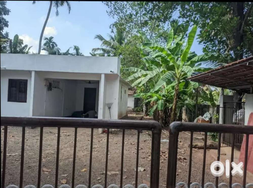 House for rent. 4 bedroom, 6 km form changanacherry Town,