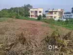 8 CENT  ORIGINAL LAND FOR SALE AT PALLIKARA