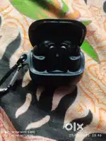 New condition year Bird