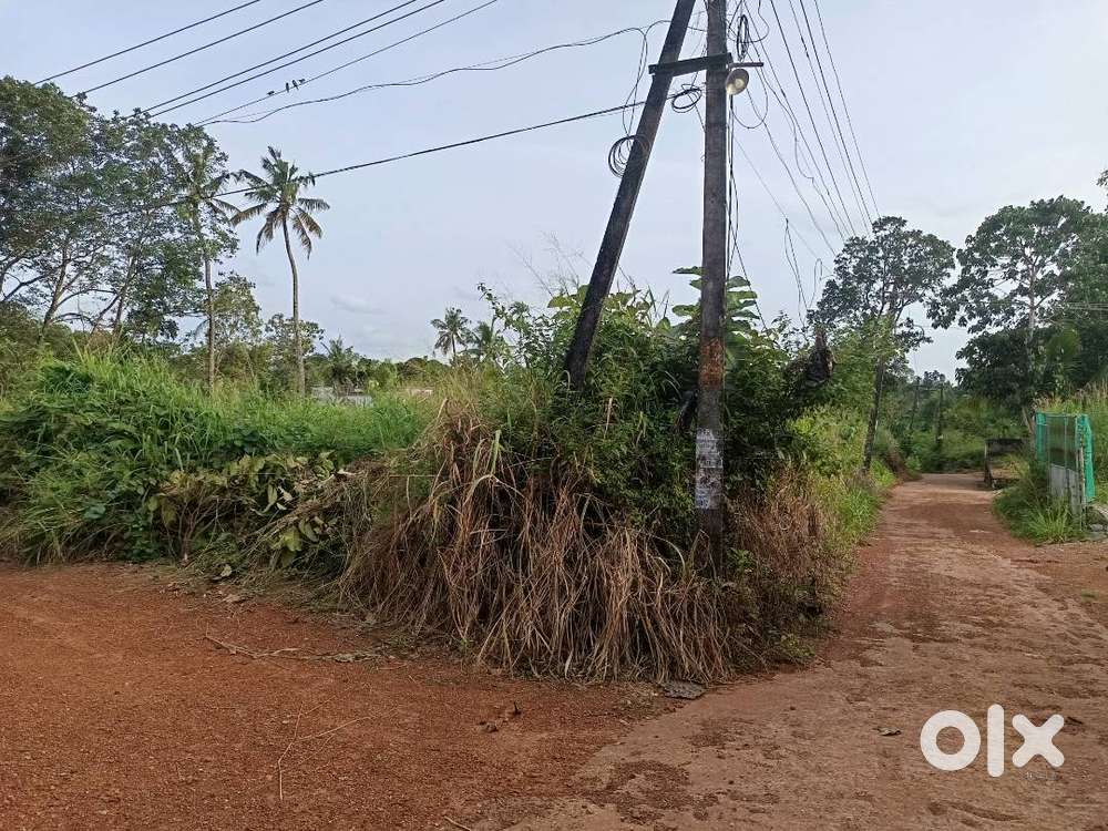 Plot for Sale