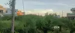 Plot for sale