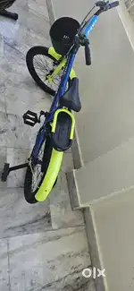 CAYA Bicycle 20 Inch