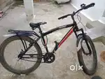Parrot, infernous cycle