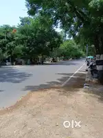 Thiruvannamalai girivalam