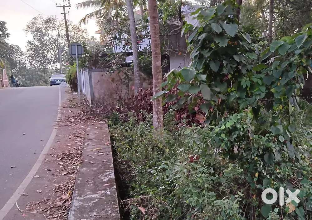 10 cent kara ഭൂമി sreekariyam njandoorkonam
