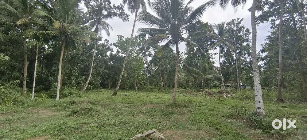 Plot for sale -West Kallada
