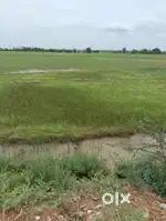 Bypass near reddypalam