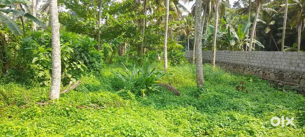 LORRY SITE 10.5 Cents Land for sale at Vellayani, Kakkamoola@26,00,000