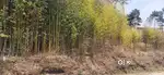 Land for sale. Area 12000 sq ft. @ ₹ 450/- per sq ft.