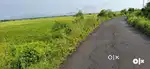 Atul setu plot 100% Clear title