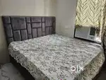 Independent Ac rooms for boys and girls & working professional couples
