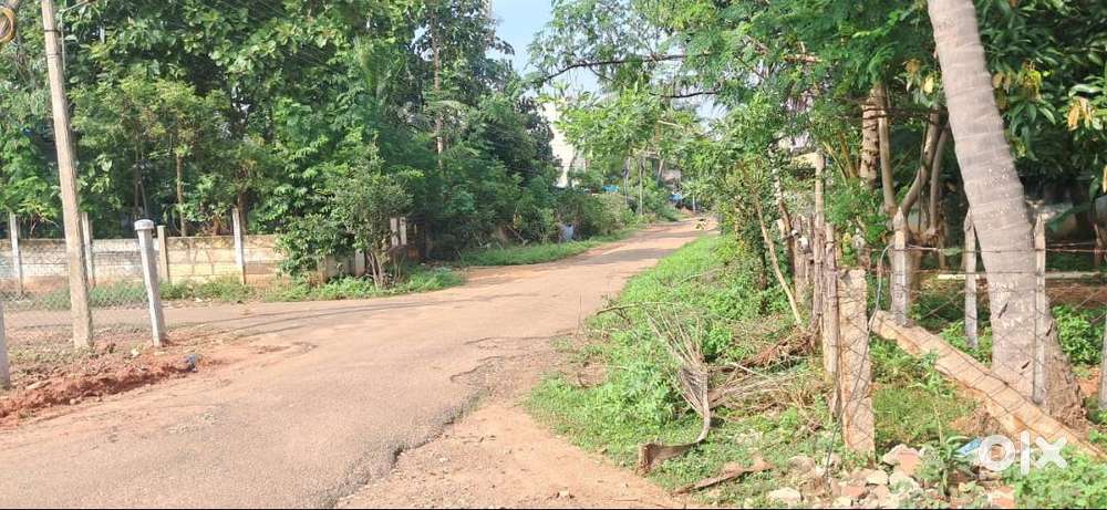 EB COLONY NEAR PLOT FOR SALE !