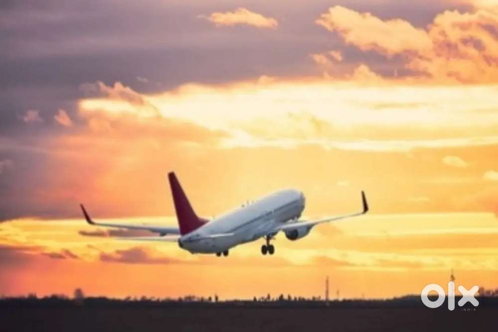 Airport JOBS in indigo Airlines urgent hiring