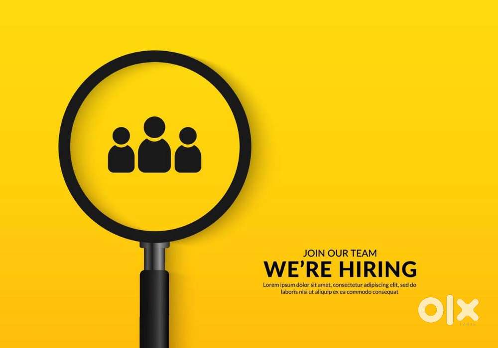 Looking for Digital Marketing Fresher