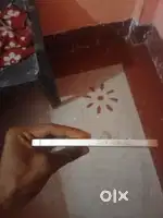 Sall urgent phone