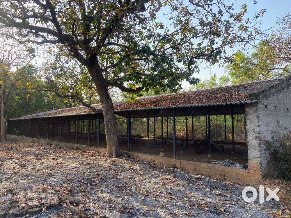 Poultry, goat farm fully constructed, bore water, electricity connecti