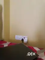 Looking for Flatmate