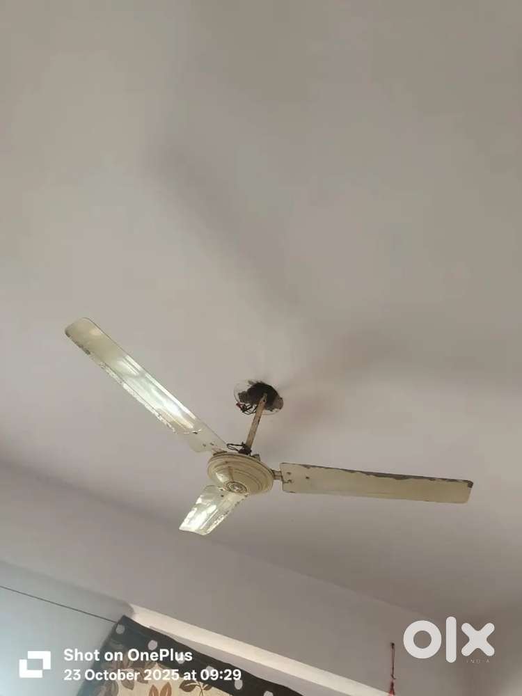 Ceiling fan