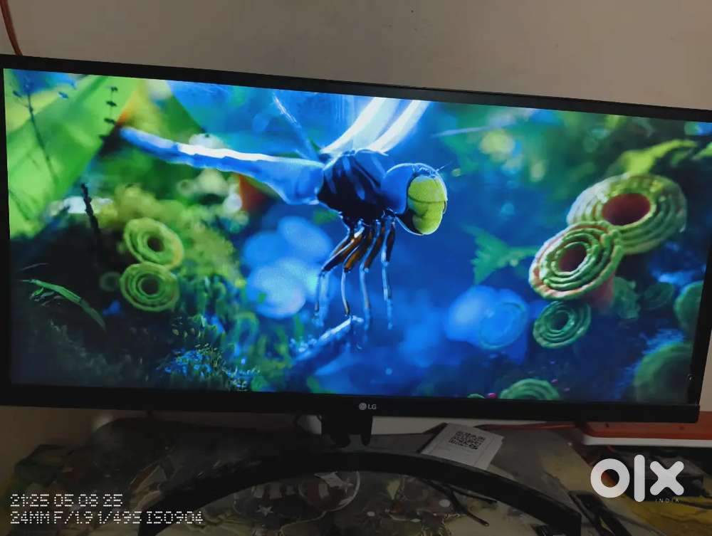 LG Ultrawide Monitor 29inch IPS