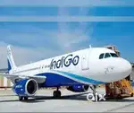 Jobs in Indigo airlines apply for