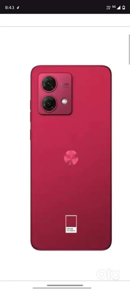 Motorola g84