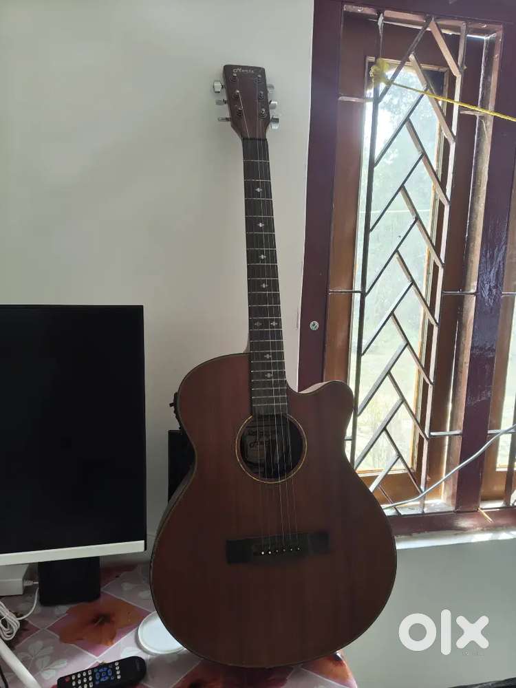 Hertz Guiter