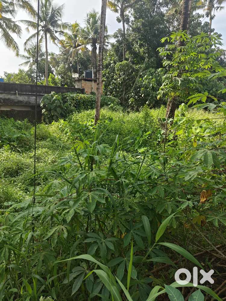 26 സെന്റ് കമർഷ്യൽ പ്ലോട്ട് നായരമ്പലം മെയിൻ റോഡ് സൈഡ് ₹10 ലക്ഷം/സെന്റ്