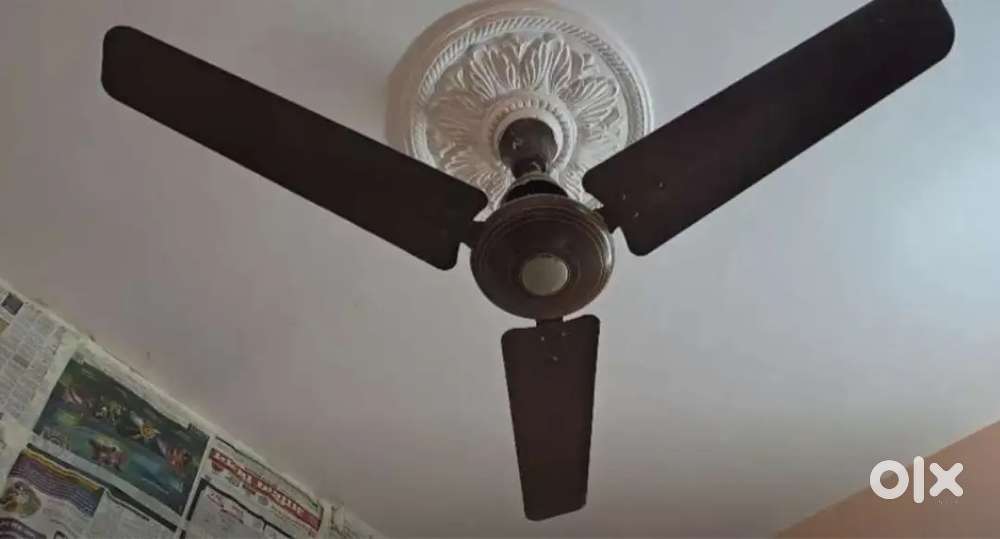 Fan for sake