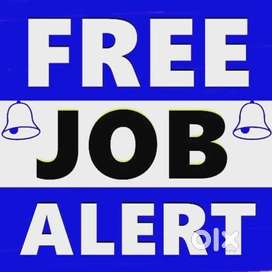 Swiggy instaMart (Evening &Night shift Loader job)