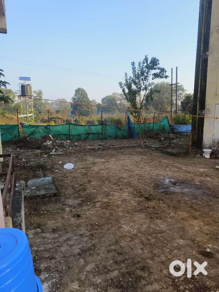 पैराडाइज कॉलोनी बोरसी दुर्ग