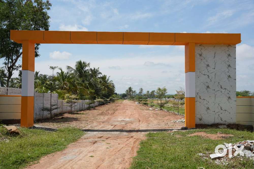 Invest Before Year-End – Land Prices Are Rising Fast in 2025!