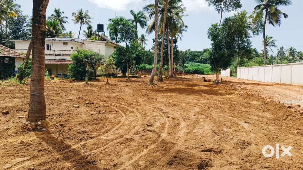 തൃശ്ശൂർ പൂച്ചിണ്ണിപാടത്ത് ഹൗസ് പ്ലോട്ടുകൾ വില്പനക്ക്