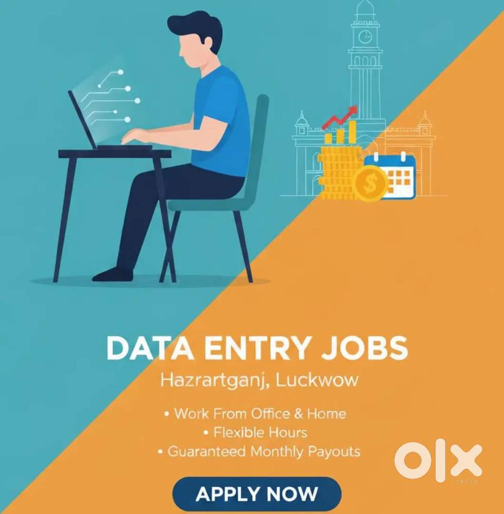 Data Entry Job – Work From Home & Office (Lucknow)