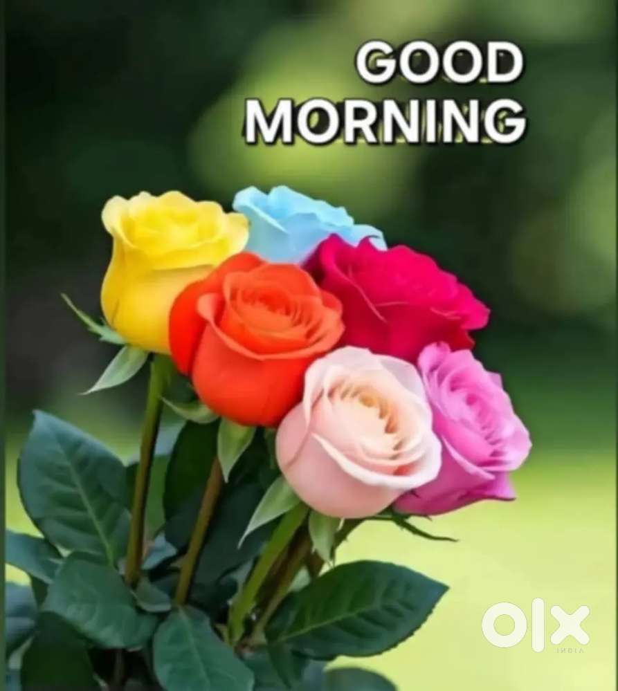 2BHK FLAT FOR RENT IN SAMBHAJINAGAR