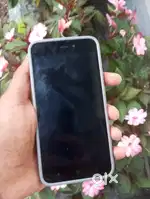 Redmi 5 for sale no damage  full working condition