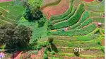 1 acre land for sale