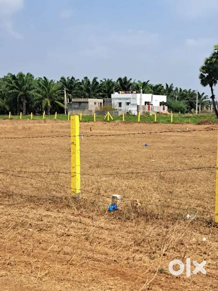 Plots near Pottipadu for sale