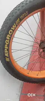 Fat bike dual gear
