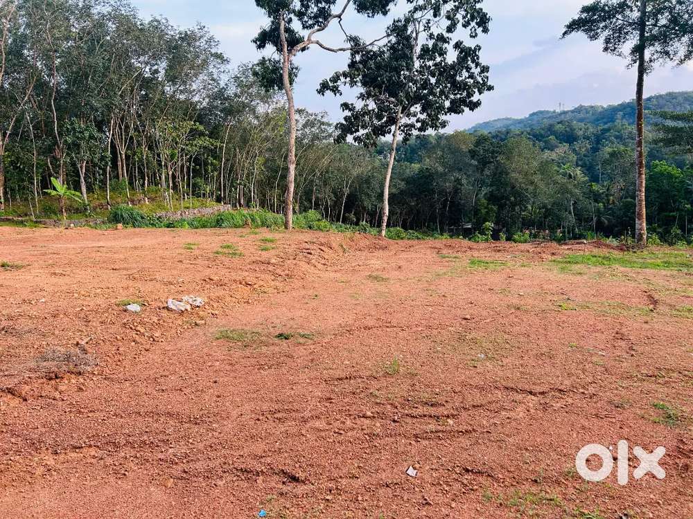 5,5.5,7,8 cent for sale