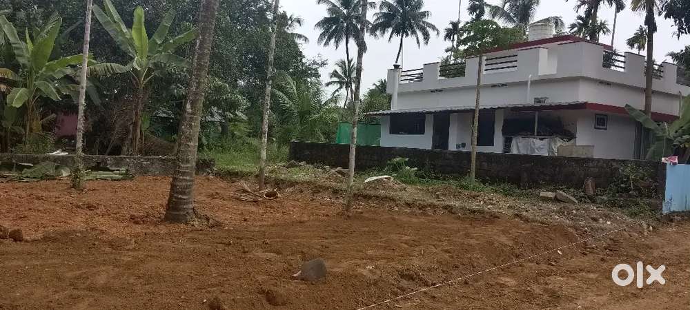 2 KM ANGAMALY NH APPOLLO HOSPITAL 4,5,8, 10 CENT PLOTS AVAILABLE