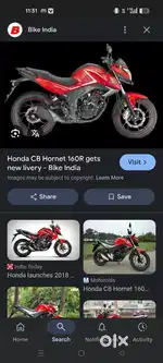 Honda hornet