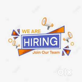 Urgent hiring 1 female exprienced smart front office staff