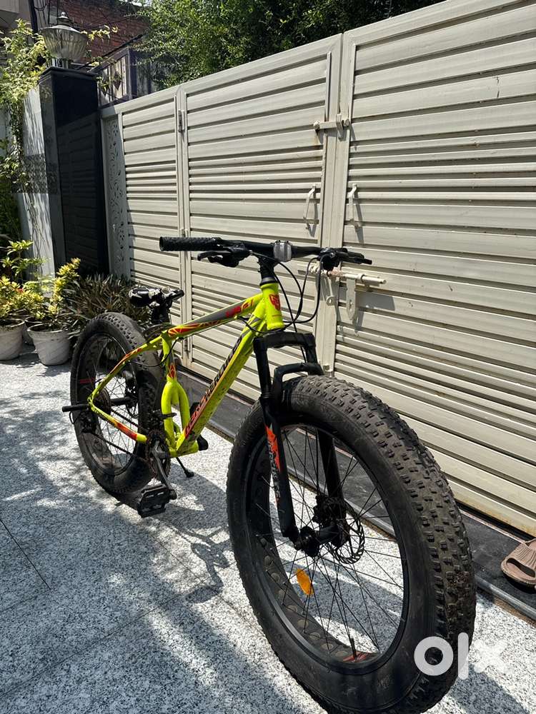 Fat bike 21 gears all working fresh condition