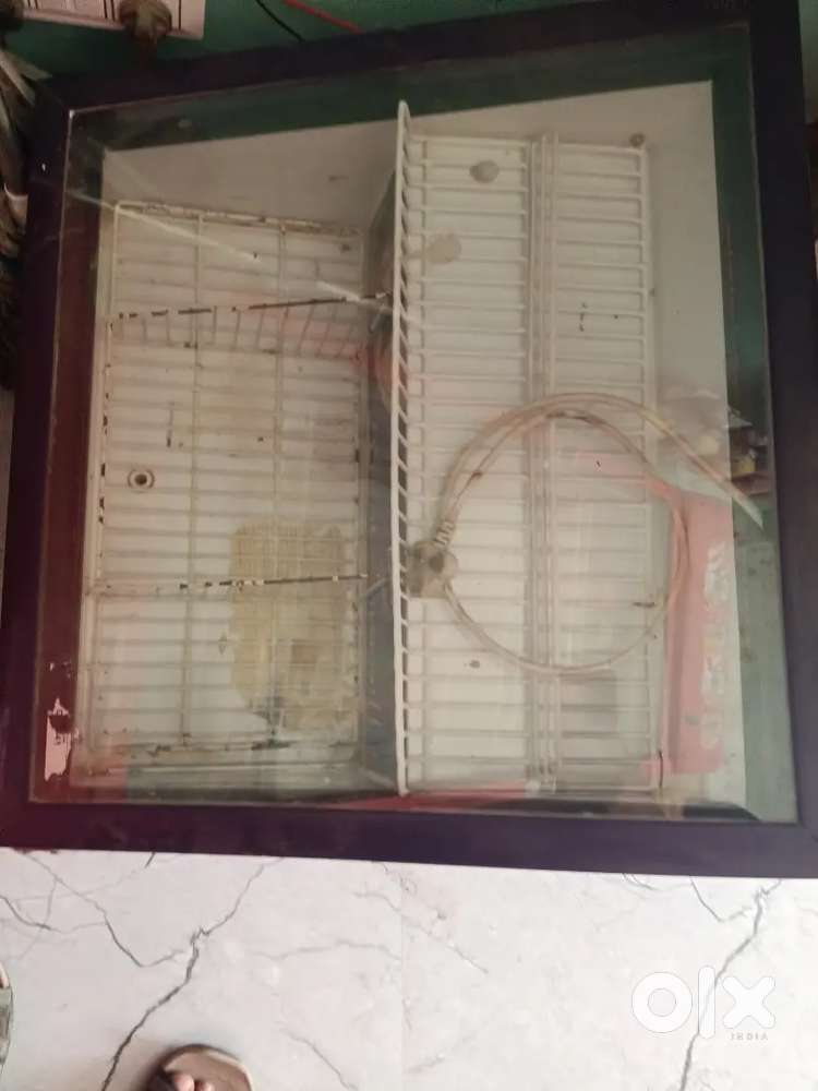 Weston chocolate fridge